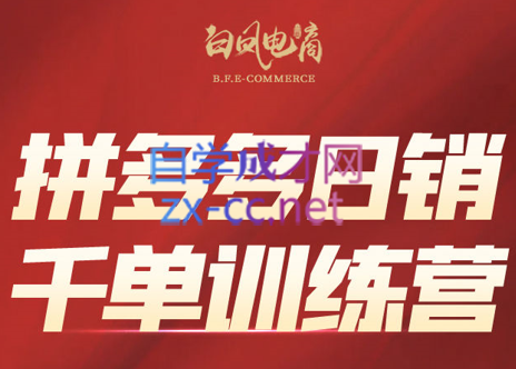 白凤电商·拼多多日销千单训练营(更新6月)-逃离打工