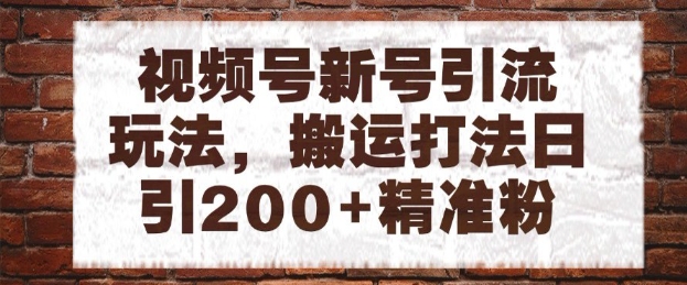 视频号新号引流玩法，搬运打法日引200+精准粉，可矩阵放大【揭秘】-逃离打工