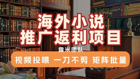 海外小说推广返利项目，视频投喂， 一刀不剪，矩阵批量-逃离打工