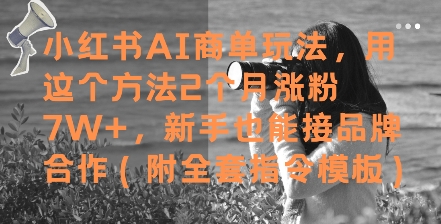 小红书AI商单玩法，用这个方法2个月涨粉7W+，新手也能接品牌合作(附全套指令模板)-逃离打工