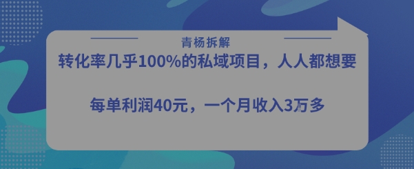 转化率最高的私域项目，每单利润40-50米，月入过1w-逃离打工