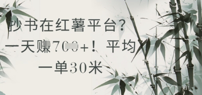 抄书在小红薯平台？平均一单30米，一天收益几张！-逃离打工