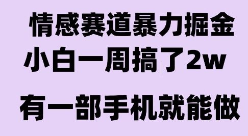 情感暴力掘金项目，新人操作一周挣了2W，长期稳定小白可做【揭秘】-逃离打工