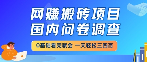 网创搬砖项目，国内问卷调查，小白轻松上手，一天三四张的也不难，干就完了【揭秘】-逃离打工