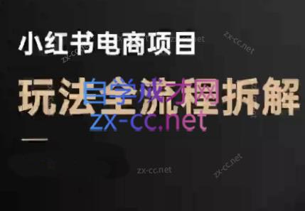 菲菲老师·小红书电商玩法(更新7月)-逃离打工
