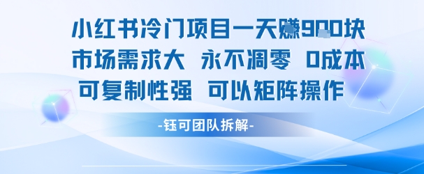 小红书冷门项目一天收益9张，市场需求大，0成本，可复制性强可以矩阵操作-逃离打工