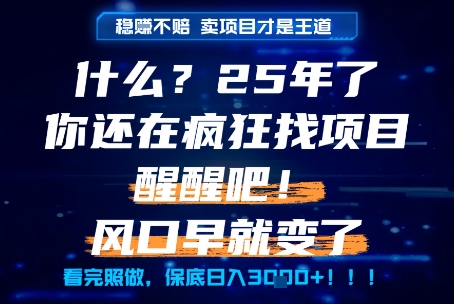 什么？25年你还在疯狂找项目做，醒醒吧，看完这些你全都懂了！【揭秘】-逃离打工