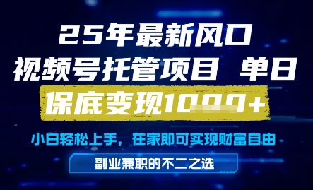 25年最新风口，视频号托管项目，单日保底变现1k+，手把手教学【揭秘】-逃离打工