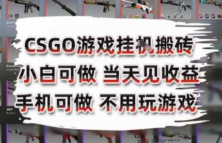 CSGO游戏挂G搬砖，小白纯手机即可操作，不用电脑打游戏，日入3张+，副业网创项目【揭秘】-逃离打工