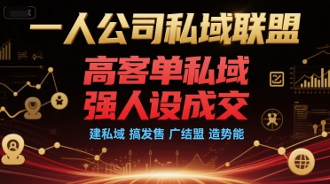 一人公司私域联盟，高客单私域，强人设成交，建私域 搞发售 广结盟 造势能-逃离打工