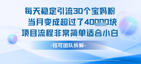 每天稳定引流30个人 当月变成超过了4个W项目流程非常简单适合小白-逃离打工
