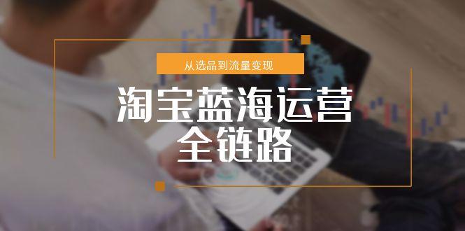 淘宝蓝海运营全链路，从选品到流量变现，小类目突围完整方案-逃离打工
