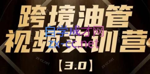 阿蔺Leo·跨境油管视频YouTube实训营(更新2025)-逃离打工