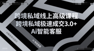 跨境私域线上高级课程，跨境私域极速成交3.0+Ai智能客服-逃离打工