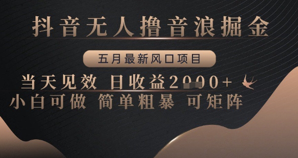 抖音无人撸音浪掘金，五月最新风口项目，当天见效，日收益多张，小白可做简单粗暴可矩阵【揭秘】-逃离打工
