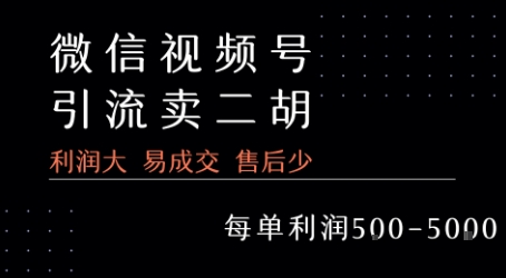 视频号卖二胡教程，利润大 易成交 售后少，一单利润5张+-逃离打工