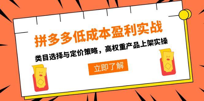 拼多多低成本盈利实战，类目选择与定价策略，高权重产品上架实操-逃离打工