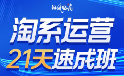 白凤电商·淘系运营21天速成班(更新6月)-逃离打工