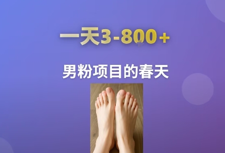 AI一键生成美女素材，一天收益3-8张，男粉项目的春天-逃离打工