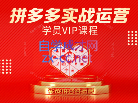 推易电商·拼多多实战运营课(更新2025月)-逃离打工