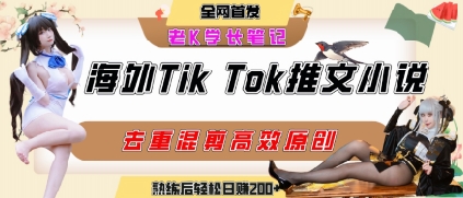 海外tiktok小说推文暴力项目，高停留率，高转化率，上手后一天搞顿饭钱不是问题-逃离打工
