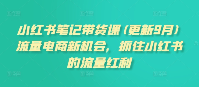 小红书笔记带货课(更新25年5月)流量电商新机会，抓住小红书的流量红利-逃离打工