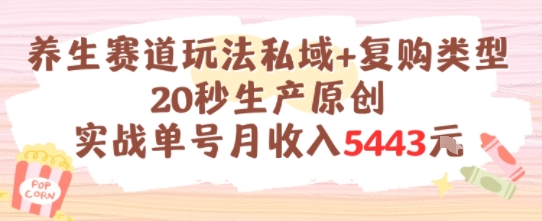 养生赛道玩法私域+复购类型，20秒生产原创实战单号月收入5k+-逃离打工