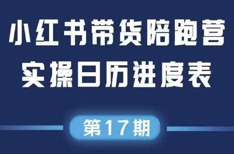 盗坤·抖音小红书视频号短视频带货与直播变现(11-17期)-逃离打工