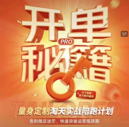 淘宝开单秘籍PRO，量身定制淘天实战陪跑计划，告别做店迷茫、快速突破运营瓶颈期(更新6月)-逃离打工