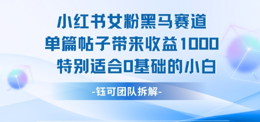 小红书女粉黑马赛道单篇帖子带来收益1k+，特别适合0基础的小白-逃离打工