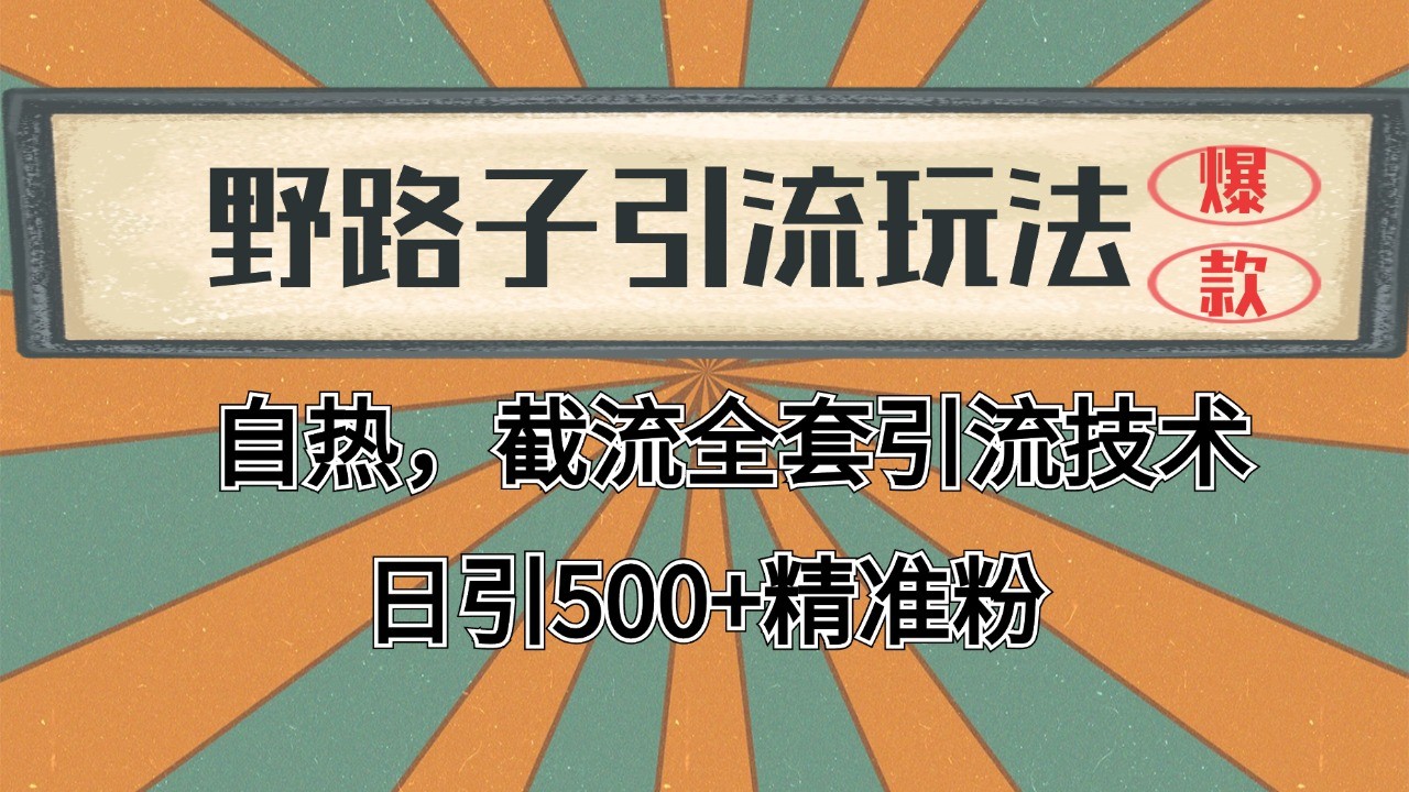 2024首发野路子引流玩法截流自热全平台打法，全自动引流【日引2000+精准客户】-逃离打工