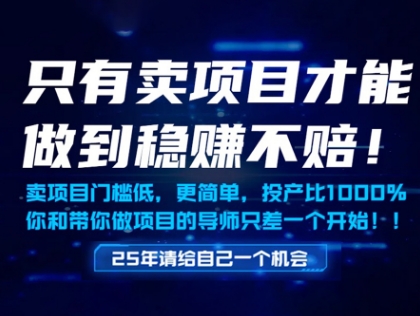 只有卖项目才能做到稳挣不赔，门槛低，更简单，你也可以年入百个W【揭秘】-逃离打工