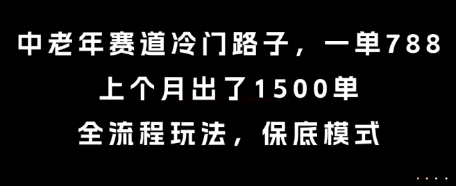 中老年赛道冷门路子，一单788，上个月出了1500单，全流程玩法，保底模式【揭秘】-逃离打工