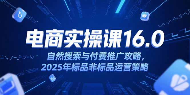 淘宝电商运营课16.0，自然搜索与付费推广攻略，2025年标品非标品运营策略-逃离打工