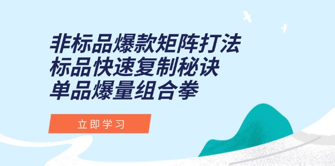 非标品爆款矩阵打法，标品快速复制秘诀，单品爆量组合拳-逃离打工