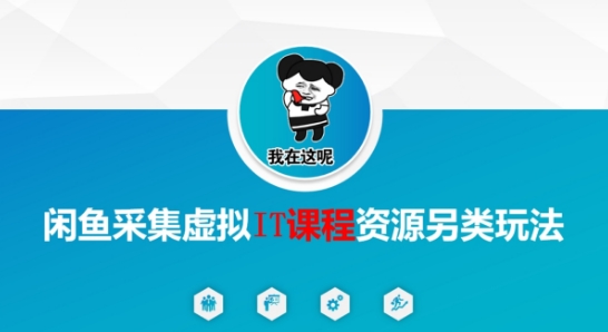 闲鱼采集虚拟IT课程资源另类玩法，干货满满-逃离打工