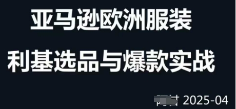 跨境电商选品案例24-25年，聚焦跨境电商选品策略与运营优化，助力卖家挖掘蓝海市场-逃离打工