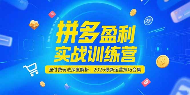 拼多多盈利实战训练营，强付费玩法深度解析，2025运营技巧合集-更新6月-逃离打工