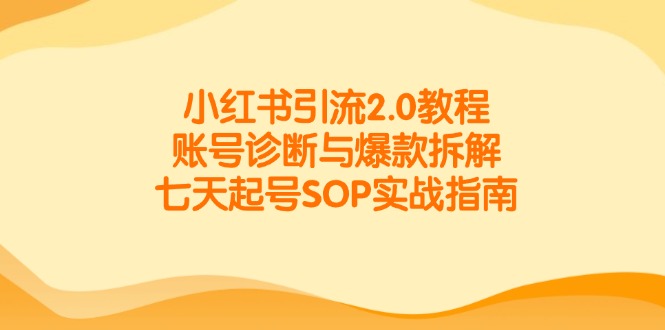 小红书引流2.0教程，账号诊断与爆款拆解，七天起号SOP实战指南-逃离打工