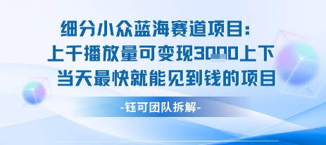 小众蓝海赛道项目：当天变现1k+适合新手操作 +适合长期玩-逃离打工