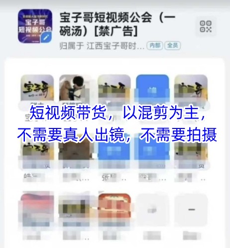 宝子哥头部团队短视频带货，以混剪为主，不需要真人出镜，不需要拍摄【更新】-逃离打工