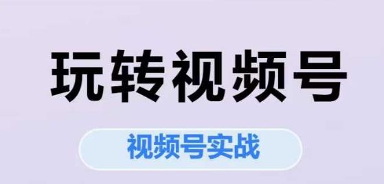 玩转视频号，视频号实战系列课-逃离打工