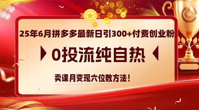 25年6月拼多多最新日引300+付费创业粉，0投流纯自热 卖课月变现六位数方法-逃离打工