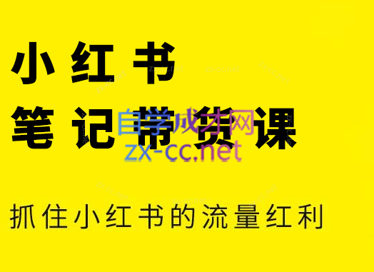 张宾·小红书笔记带货课(更新5月)-逃离打工