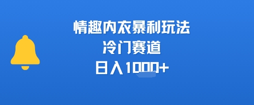 情趣内衣暴利玩法，冷门赛道，日入1k+-逃离打工