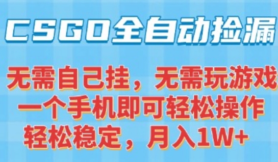 CSGO自动捡漏项目，最新独家玩法，一个手机可操作，新手小白轻松月入1W+，操作简单易上手【揭秘】-逃离打工