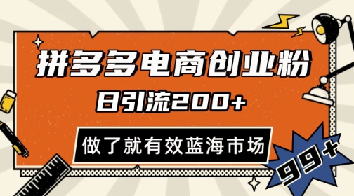 拼多多引流电商创业粉，日引200+，可矩阵放大，做了就有效【揭秘】-逃离打工