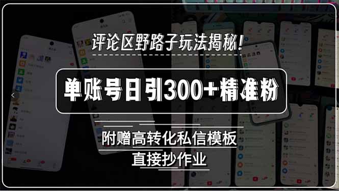 评论区野路子玩法揭秘！单账号日引300+精准粉，附赠高转化私信模板，直…-逃离打工