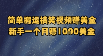 简单搬运搞笑视频挣美金，新手一个月入1k美金-逃离打工